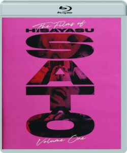 the films of Hisayasu Sato