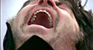 the Shout